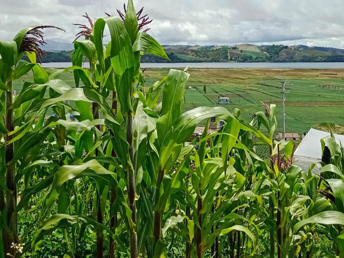 Casa Rural Zaba Lago De Tota Aquitania Bagian luar foto